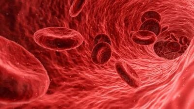 Hemoglobin Level : ஹீமோகுளோபின் அளவை ஒரு வாரத்தில் அதிகரிக்க வேண்டுமா? இந்த ஒரு சாறு போதும்! 