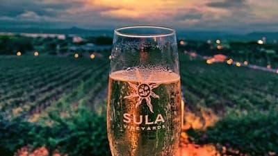 Sula Vineyards: Situated in Nashik, Maharashtra, Sula Vineyards is one of the most famous vineyards in India. Established in 1999, this vineyard is the country's first winery.