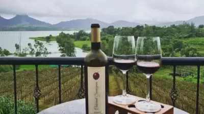 Vallonne Vineyards: This is a boutique wine estate situated in Igatpuri near Nashik. This estate has a winery, a lake-facing restaurant and a boutique vineyard hotel. They also offer winery tours and wine tasting sessions.