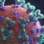 Corona Virus : அடுத்தடுத்த மரணங்களும்! அச்சுறுத்தும் கொரோனா ஆய்வும்!  