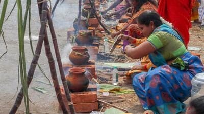 பொங்கல் வைக்கும் பெண்கள், இடம்-சென்னை (ANI Photo)