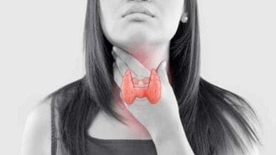 Thyroid Health : தைராய்டை அடித்து விரட்டும் உணவுகள் இவைதான் தெரிந்துகொள்ளுங்கள்! 