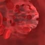Hemoglobin Level : ஹீமோகுளோபின் அளவை அதிகரிக்க வேண்டுமா? இந்த 10 பழங்களை தினமும் சாப்பிட்டாலே போதும்!