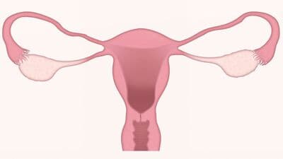 Vaginal Infection : பிறப்புறுப்பில் ஏற்படும் தொற்றுகளால் அவதியா? இதோ இவற்றை பின்பற்றி தடுக்கலாம்! 