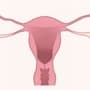 Vaginal Infection : பிறப்புறுப்பில் ஏற்படும் தொற்றுகளால் அவதியா? இதோ இவற்றை பின்பற்றி தடுக்கலாம்! 