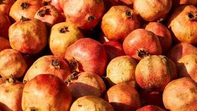 Pomegranate Peel Benefits : மாதுளை பழம் மட்டுமல்ல அதன் தோலிலும் பல நன்மைகள் உள்ளன! அவை என்னவென்று தெரிந்துகொள்ளுங்கள்!